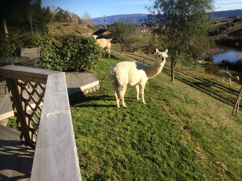 Willa Hunters Moon Mosgiel Zewnętrze zdjęcie