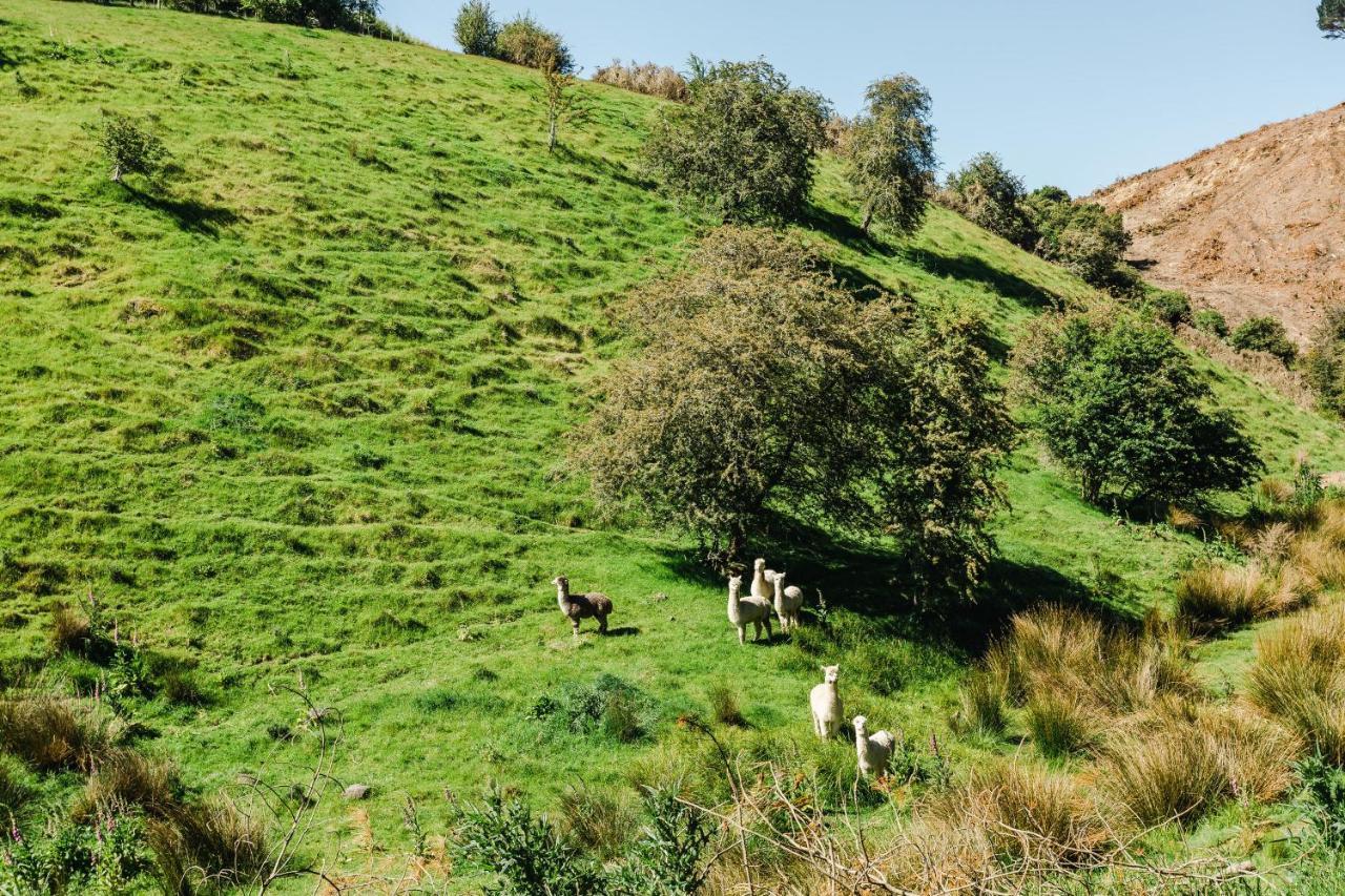 Willa Hunters Moon Mosgiel Zewnętrze zdjęcie